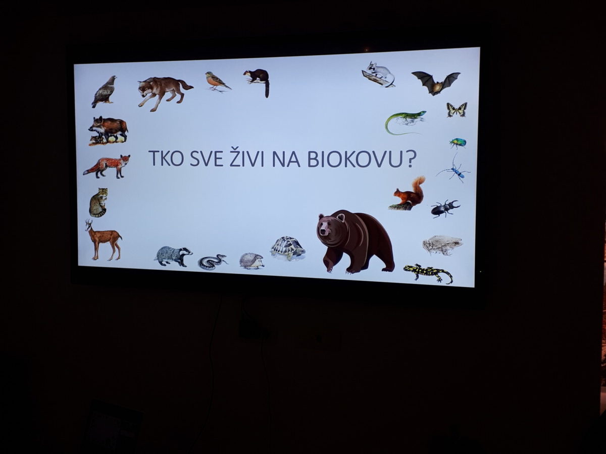 Skupina Jutro 2- Dupinčići, odgojiteljica: Milena Majić