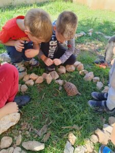 1734001147931-225x300  